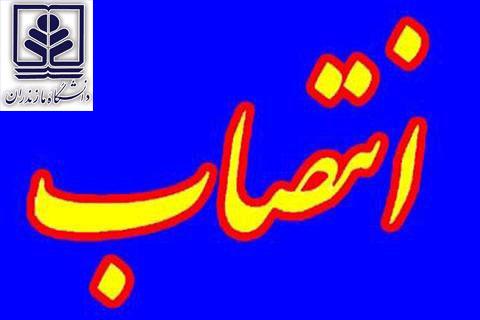 تصویر کوچک